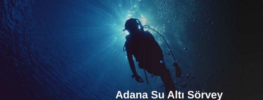 Adana Su Altı Sörvey 1 Adana Su Altı Sörvey, Adana Su Altı Sörvey Hizmetleri, Adana Su Altı Gemi Sörvey, Adana Su Altı Tekene Sörvey, Adana Su Altı Sörvey Yapan Firmalar