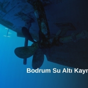 Bodrum Su Altı Kaynakları, Bodrum Sualtı Onarım ve Kaynak, Bodrum Sualtı Kaynak Hizmetleri, Bodrum Su Altı Kaynak Firmaları, Bodrum Dalgıç Kaynak