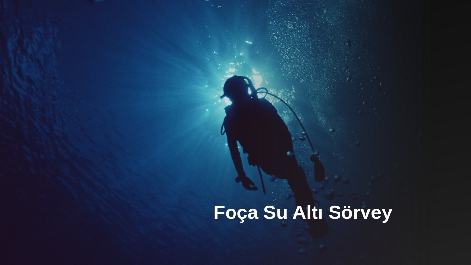 Foça Su Altı Sörvey, Foça Su Altı Sörvey Hizmetleri, Foça Su Altı Gemi Sörvey, Foça Su Altı Tekene Sörvey, Foça Su Altı Sörvey Yapan Firmalar
