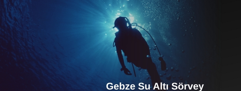 Gebze Su Altı Sörvey, Gebze Su Altı Sörvey Hizmetleri, Gebze Su Altı Gemi Sörvey, Gebze Su Altı Tekene Sörvey, Gebze Su Altı Sörvey Yapan Firmalar